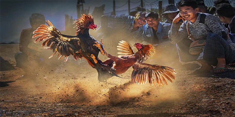 sun20 win chơi bắn cá đổi thưởng