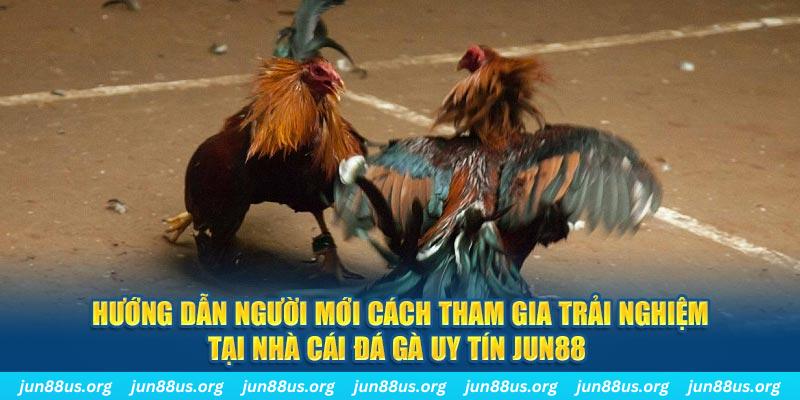 sun20 win CQ9 Điện Tử