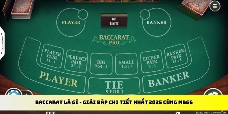 sun20 win gà chọi cu cần
