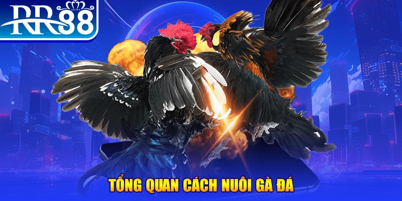 sun20 win VA Điện Tử