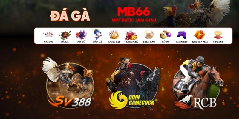 sun20 win đăng nhập poker số 1