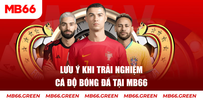 sun20 win cá cược là gì