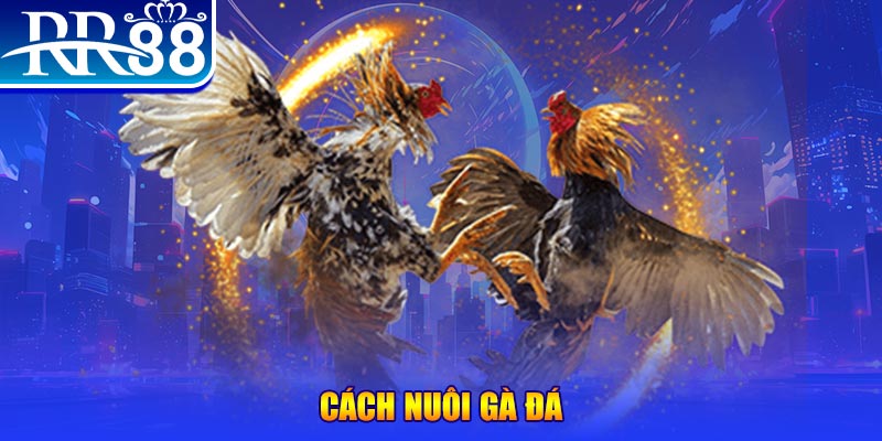 sun20 win xổ số an giang