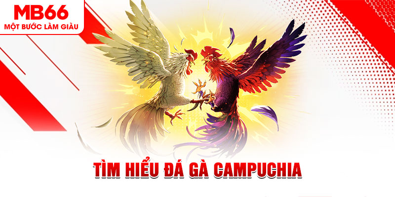 sun20 win đá gà trực tiếp