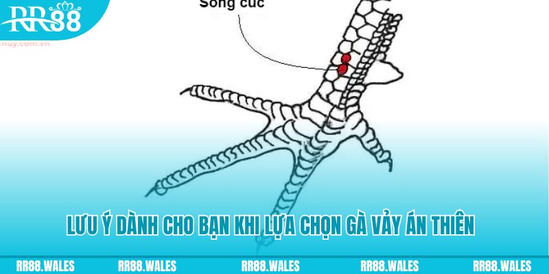 sun20 win xổ số đồng nai