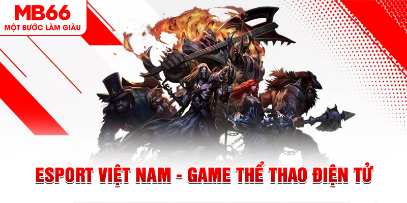 sun20 win what are the most popular casino games