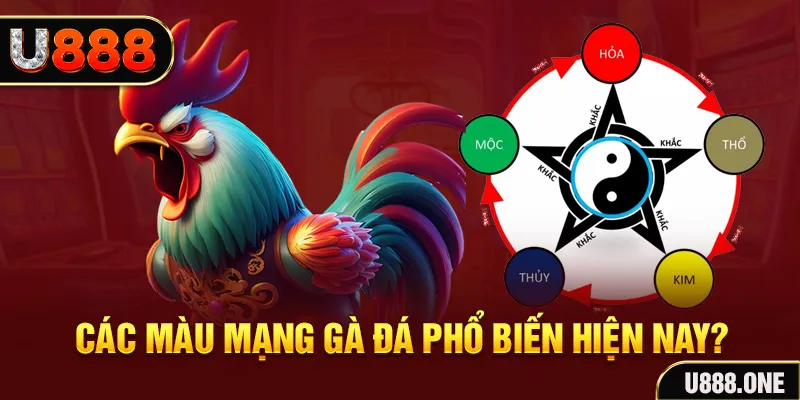 sun20 win trực tiếp đá gà 88