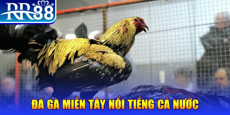 sun20 win JILI Game Bài 3d