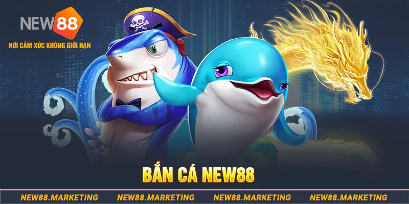 sun20 win ban ca xeng 2
