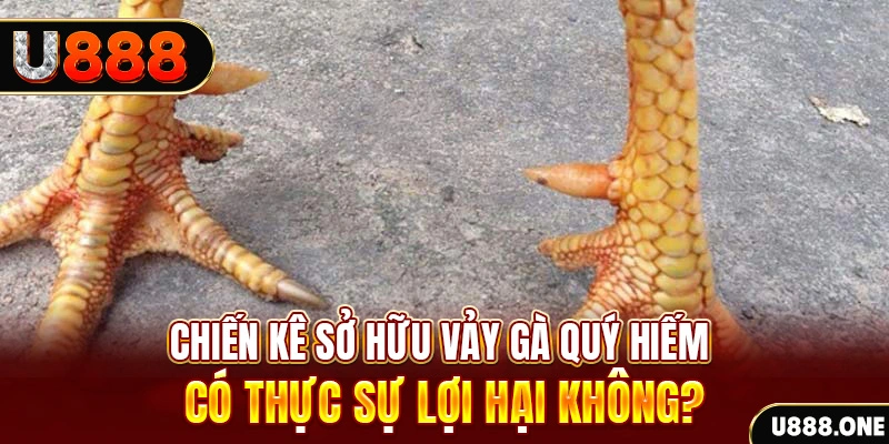 sun20 win nohu .mx nổ hủ là gì