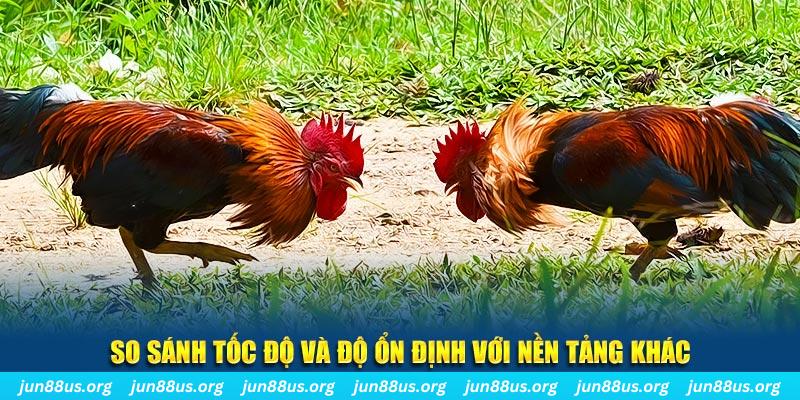 sun20 win đá gà hôm nay