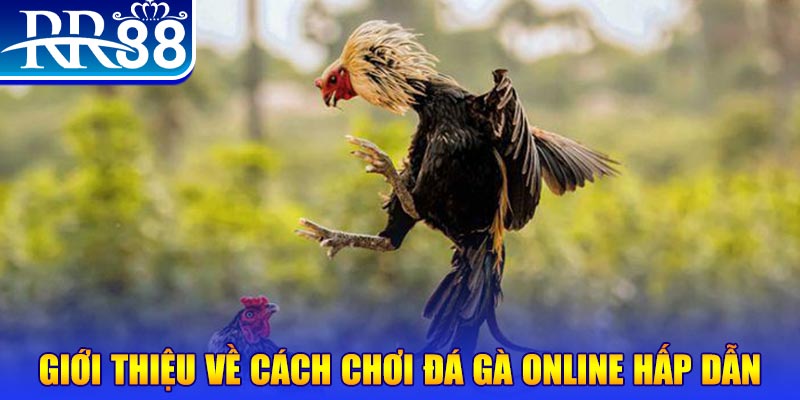 sun20 win game nổ hũ rút tiền mặt là gì