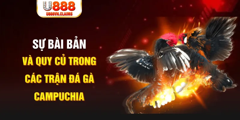 sun20 win YGR Điện Tử