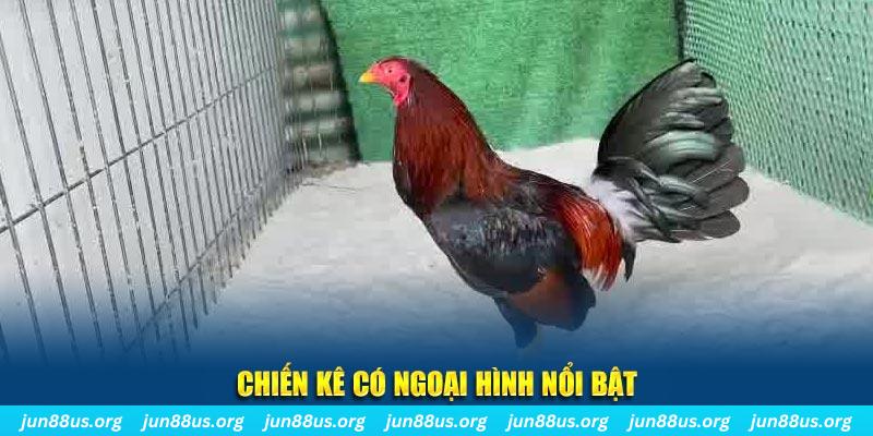sun20 win chạy quảng cáo cho game bài bị phạt như thế nào